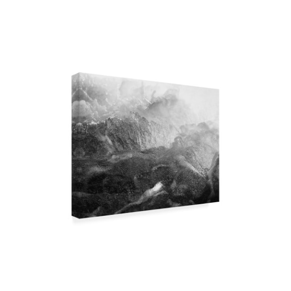 Design Fabrikken 'Black Motion Fabrikken' Canvas Art,24x32